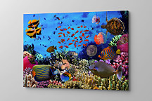 Obraz Morské živočíchy 1376